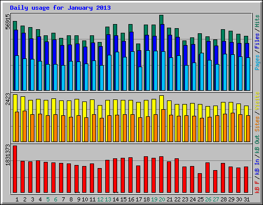 Daily usage for January 2013