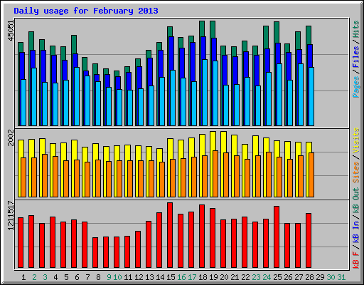 Daily usage for February 2013