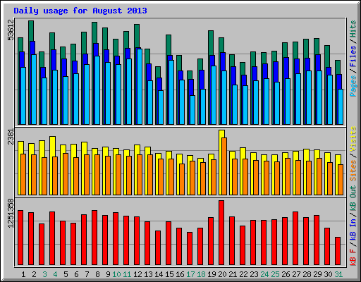 Daily usage for August 2013