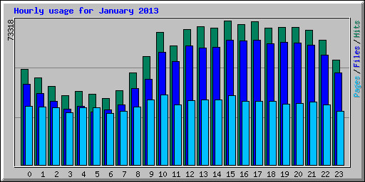 Hourly usage for January 2013