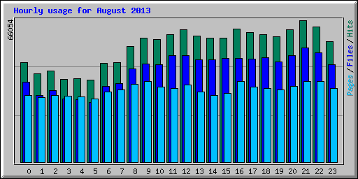 Hourly usage for August 2013